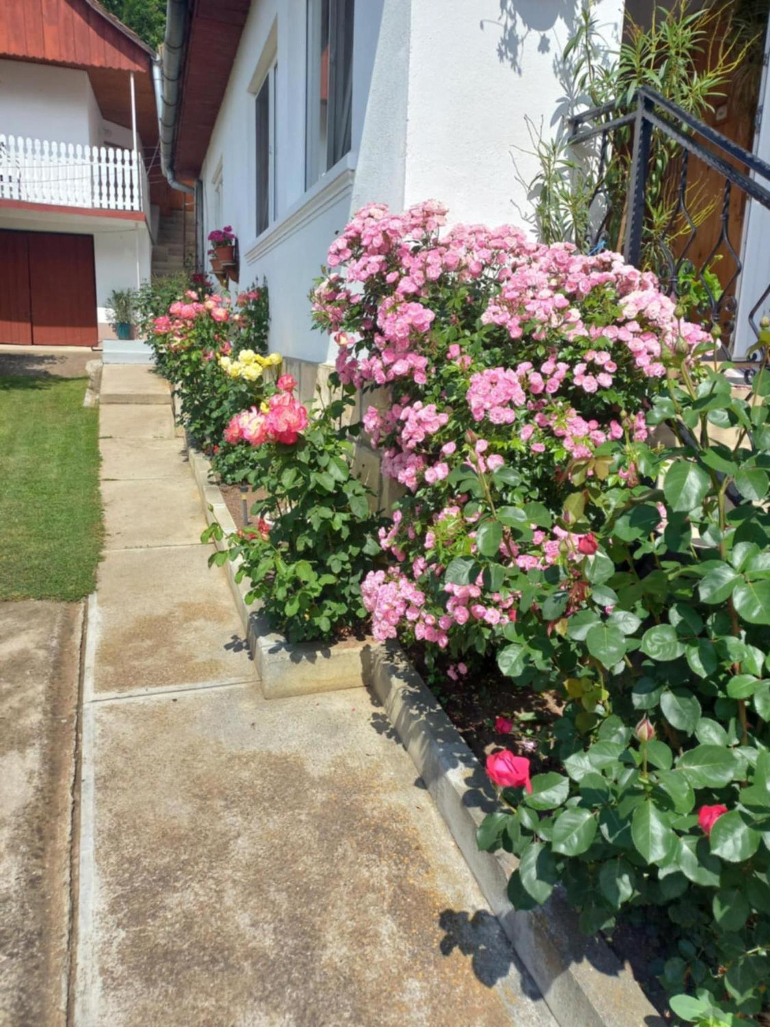 Rozsa Panzio Bed and Breakfast Rimetea Εξωτερικό φωτογραφία