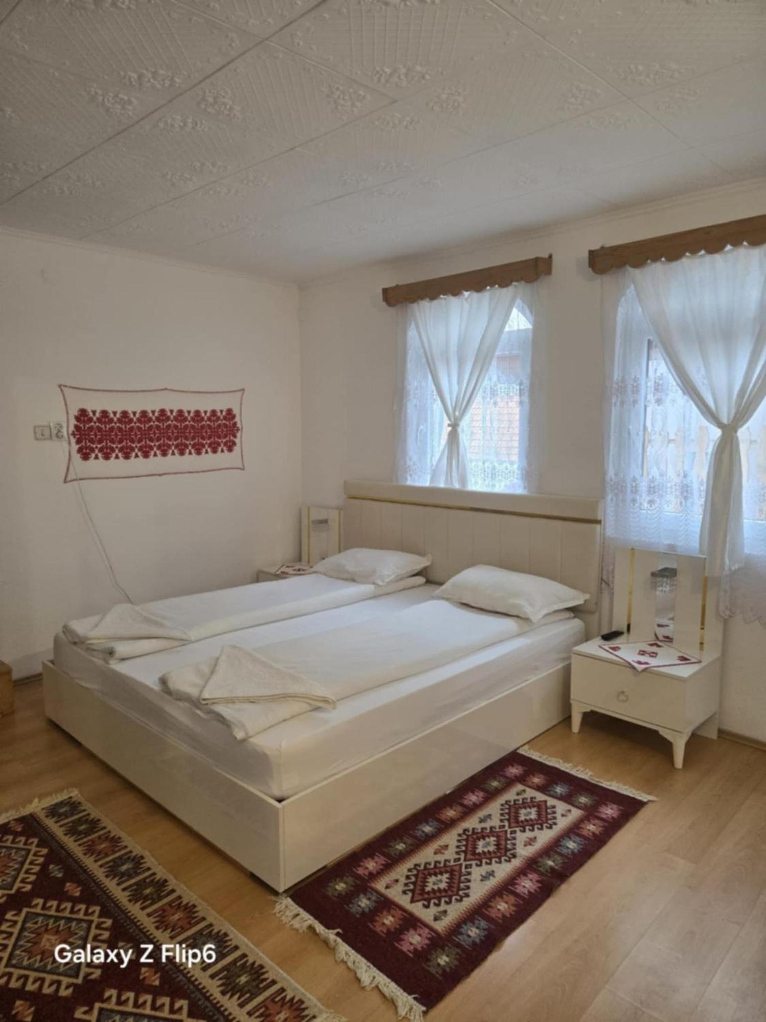 Rozsa Panzio Bed and Breakfast Rimetea Εξωτερικό φωτογραφία