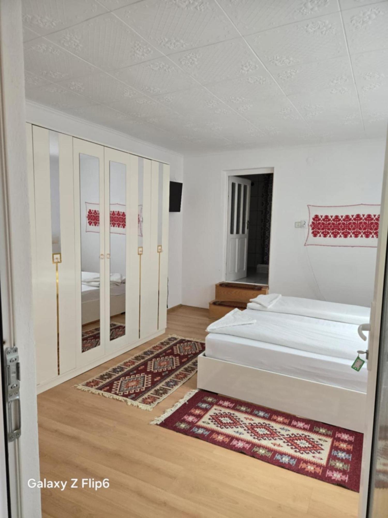 Rozsa Panzio Bed and Breakfast Rimetea Εξωτερικό φωτογραφία
